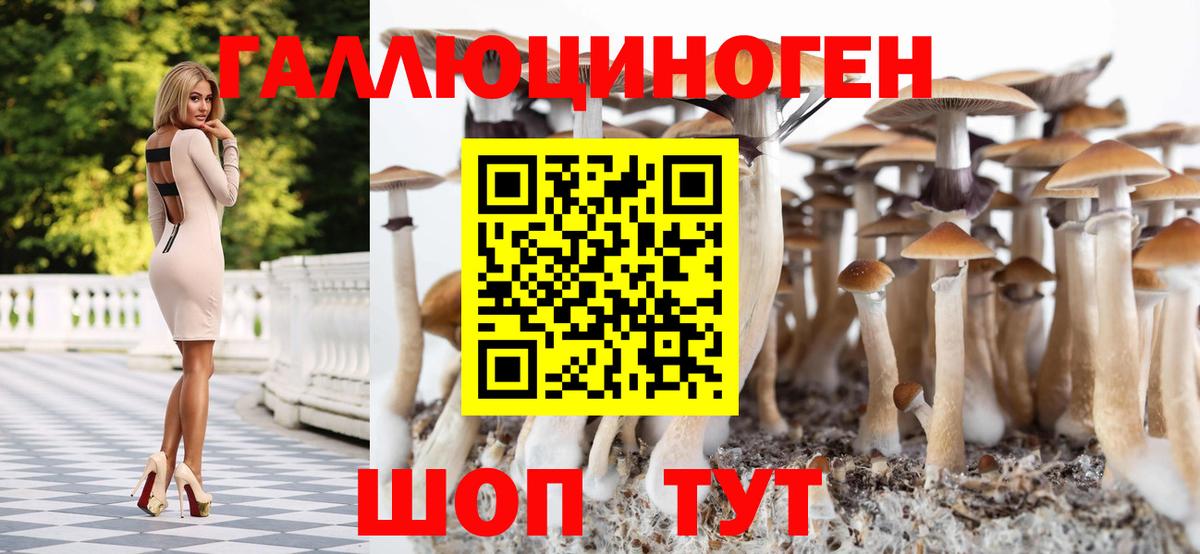 Заринск  Галлюциногенные грибы прущие грибы  Вход с VPN  Псилоцибиновые грибы Cubensis 
