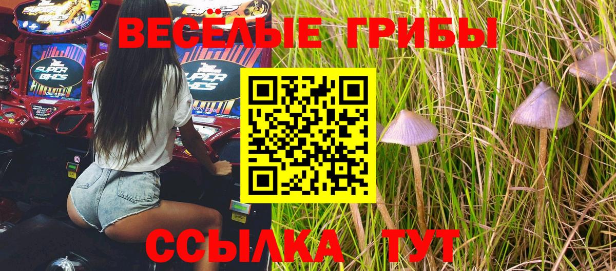 Псилоцибиновые грибы мицелий Заринск
